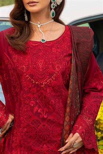 Women's Designer Collection