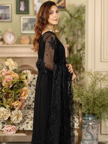 Women's Designer Collection
