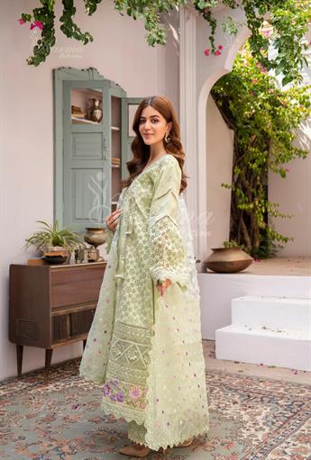 Women's Designer Collection