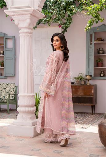 Women's Designer Collection