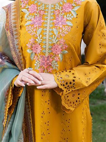 Women's Designer Collection