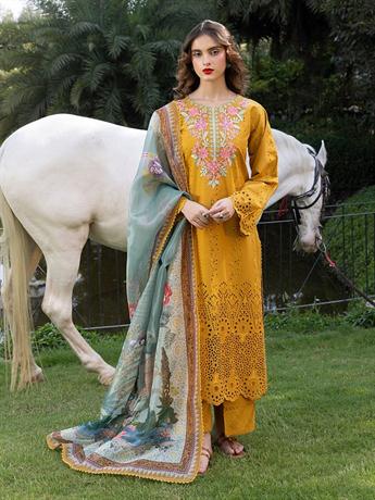 Women's Designer Collection