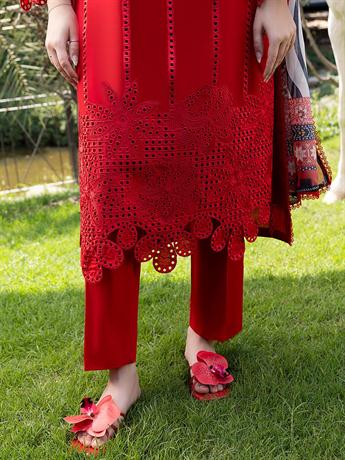 Women's Designer Collection