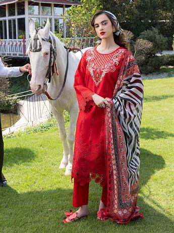 Women's Designer Collection