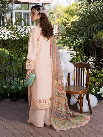 Women's Designer Collection