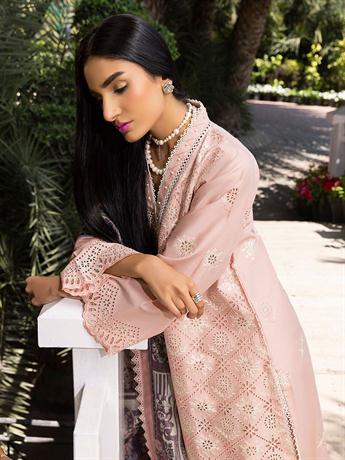 Women's Designer Collection