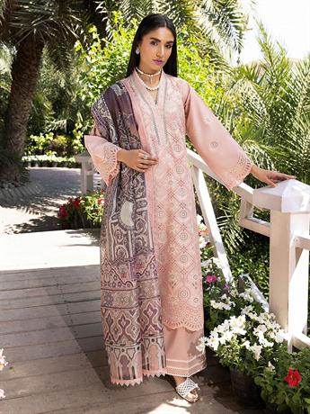 Women's Designer Collection