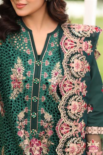 Women's Designer Collection