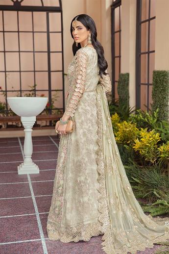 Women's Designer Collection