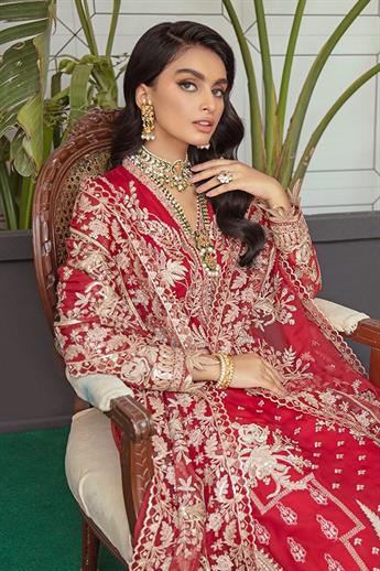 Women's Designer Collection