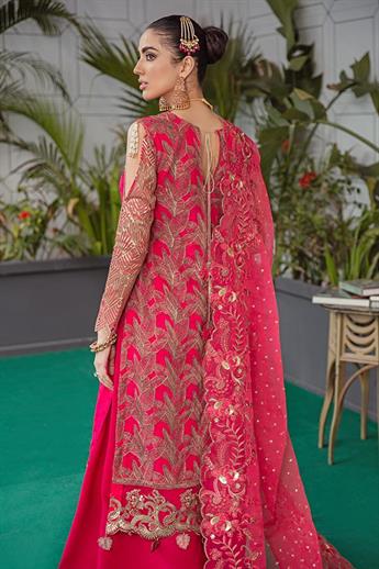 Women's Designer Collection