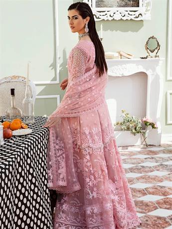 Women's Designer Collection