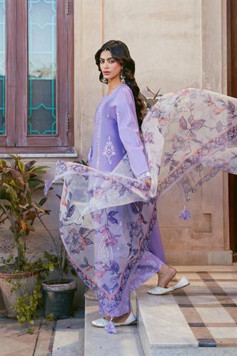 Women's Designer Collection