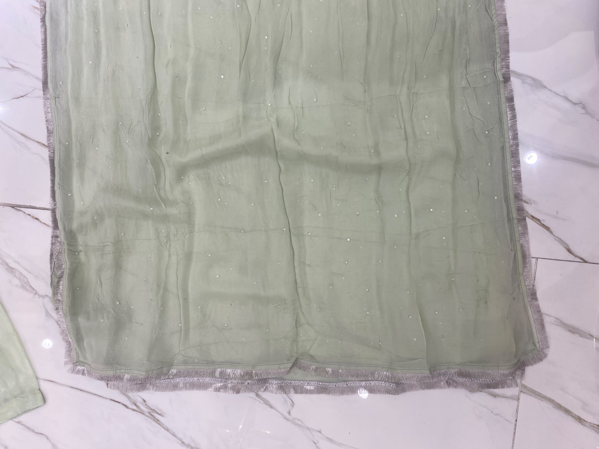 A light green ensemble with silver-toned floral embroidery, a…