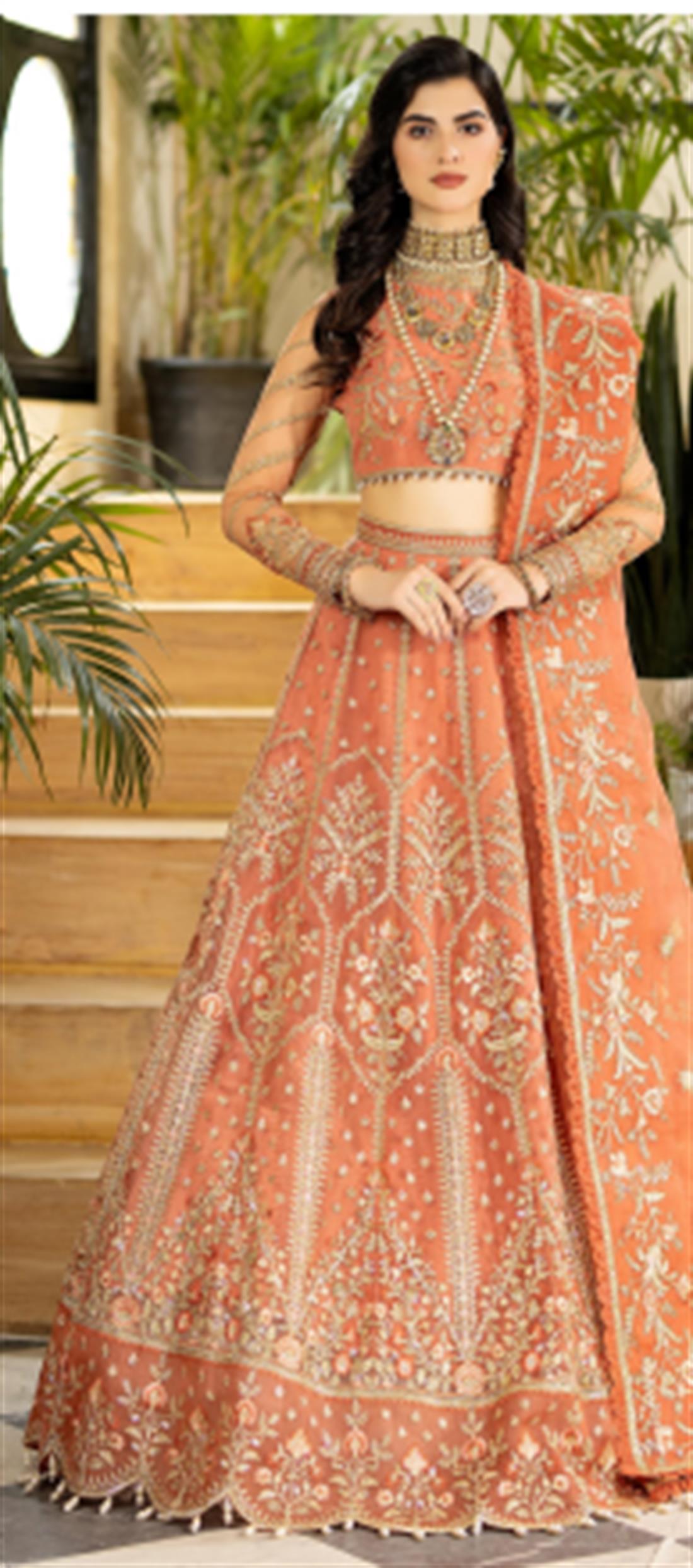 Imrozia Premium Collection