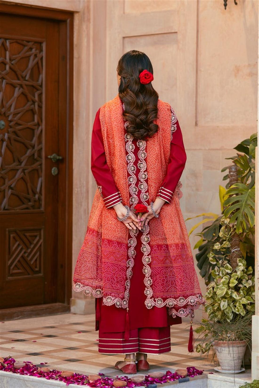 Women's Designer Collection TANABANA COLLECTIONS